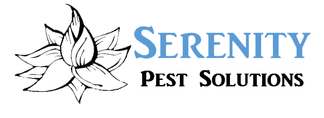 Serenity Pest Solutions. Pest Control Phoenix.
